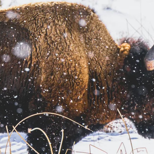 Things To Do in the Black Hills hero image